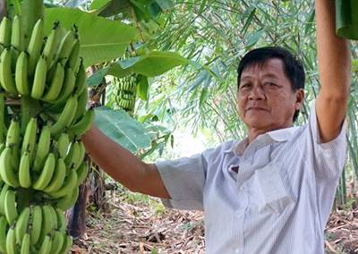 Làm kinh tế vườn trên đất tạp Làm kinh tế vườn trên đất tạp